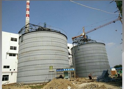 大型水煤浆搅拌器